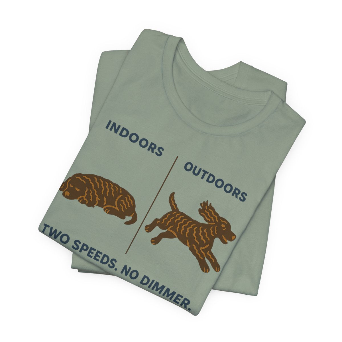 American Water Spaniel Two Speeds No Dimmer Tee