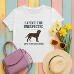 Curly-Coated Retriever expect the unexpected tee flat lay