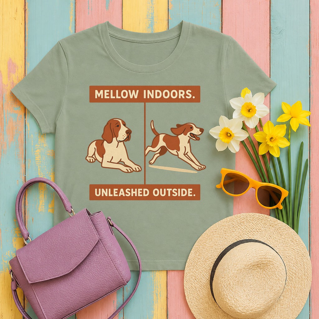 Bracco Italiano Mellow Indoors Tee in Sage