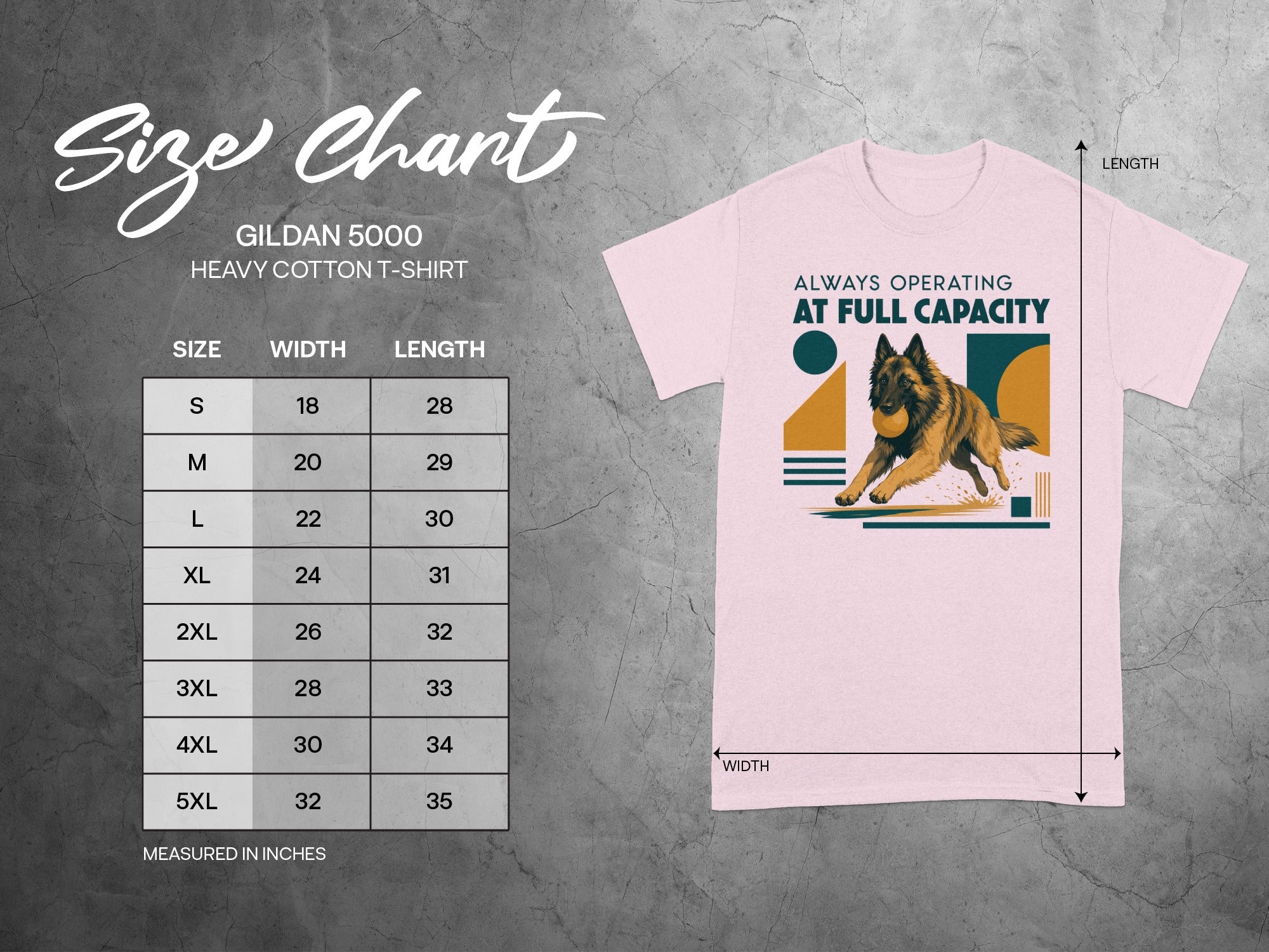 Gildan 5000 t-shirt size chart with graphic of a German Shepherd.
