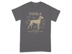 Vizsla diagram with humorous labels for breed traits, invented by Loyalty & Chaos.