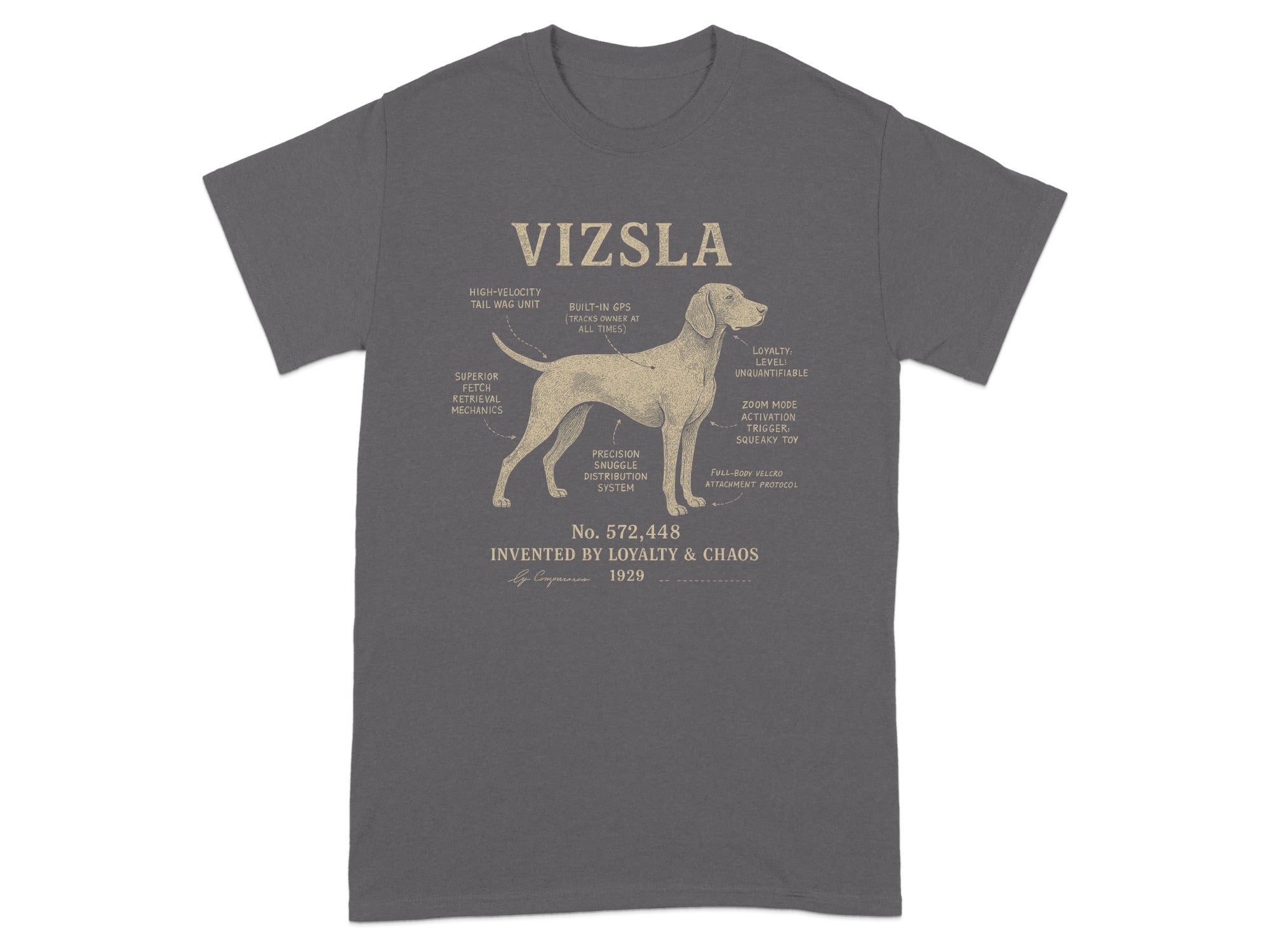Vizsla diagram with humorous labels for breed traits, invented by Loyalty & Chaos.