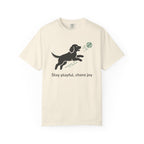 Stay playful chase joy dog graphic t-shirt product