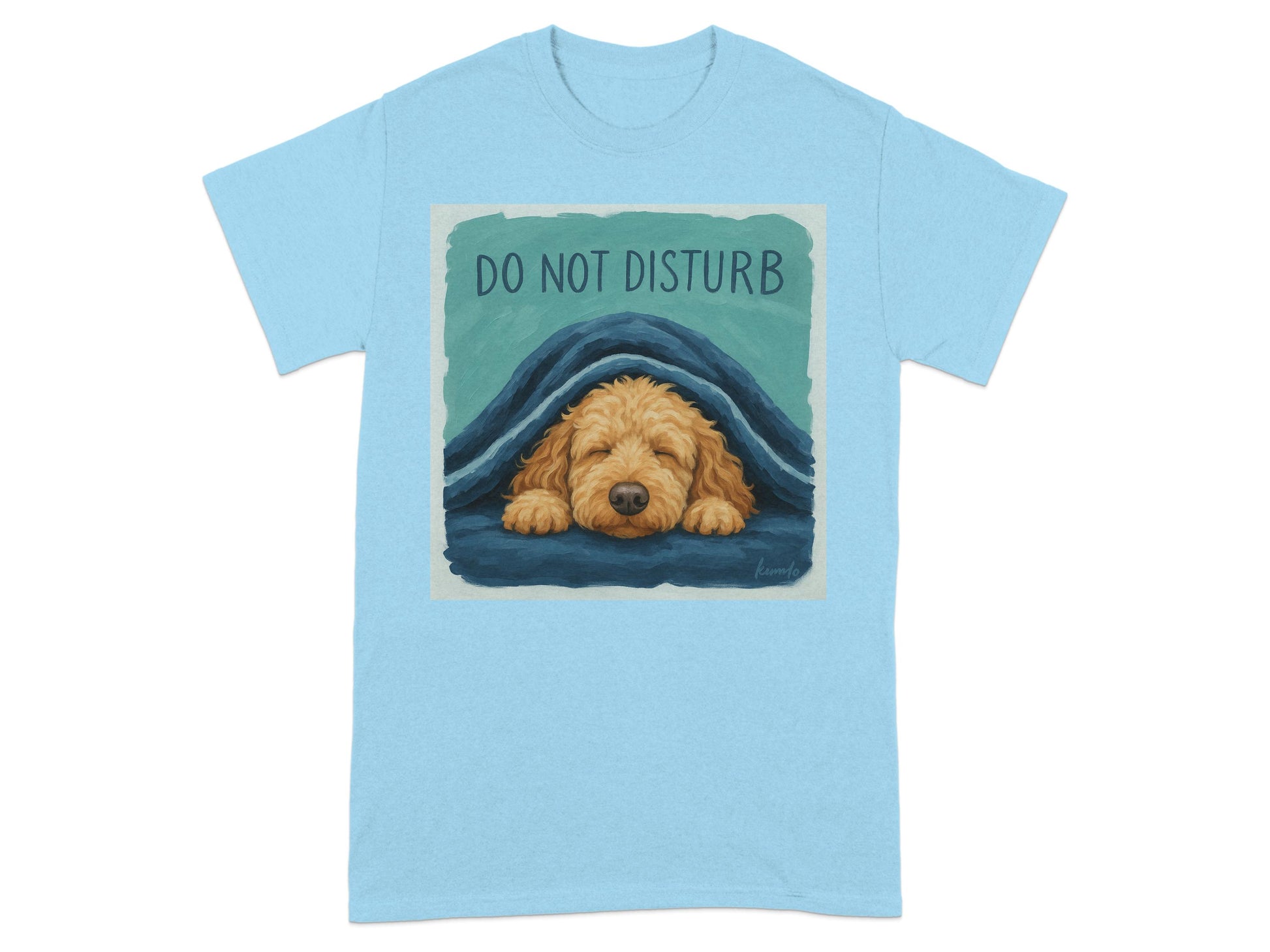 Do Not Disturb Sleeping Dog Graphic T-Shirt product type