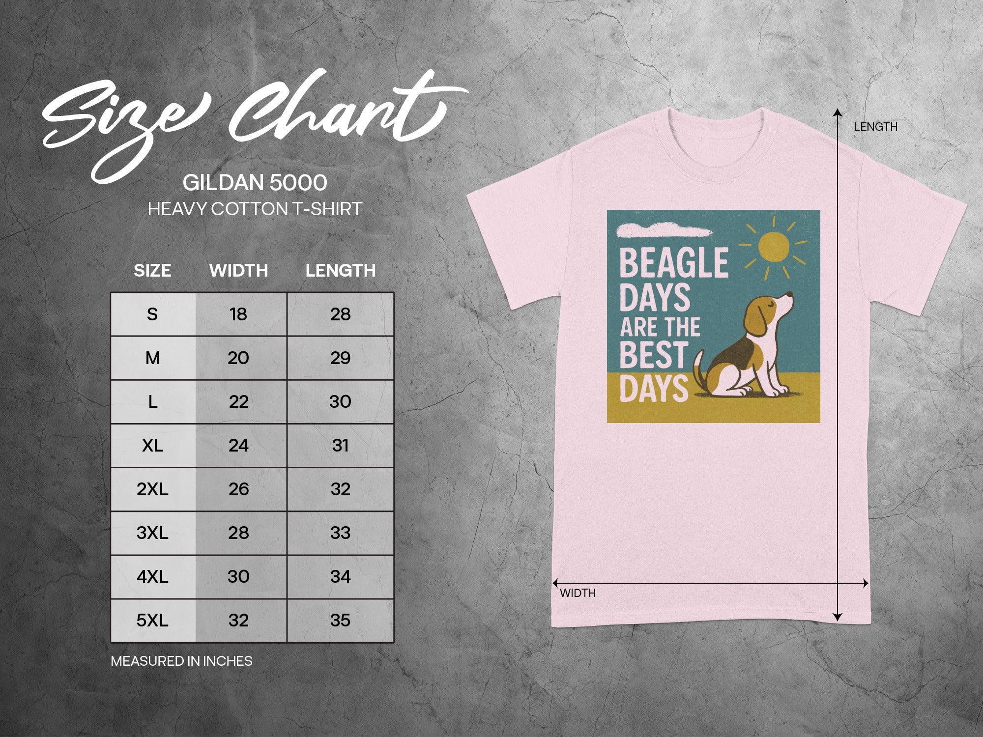 Gildan 5000 heavy cotton t-shirt size chart with beagle graphic.