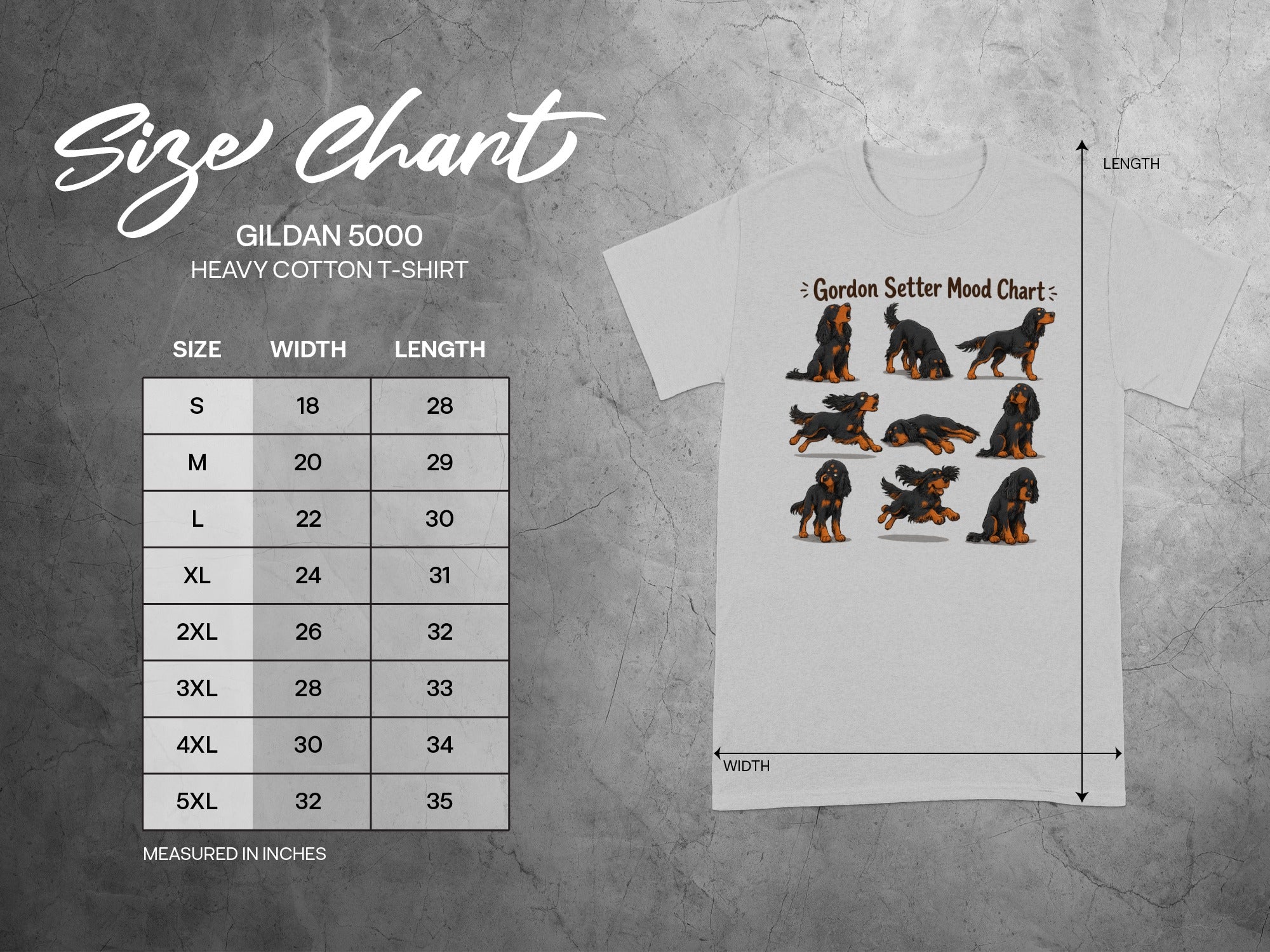 Gildan 5000 Heavy Cotton T-shirt size chart with Gordon Setter illustrations.