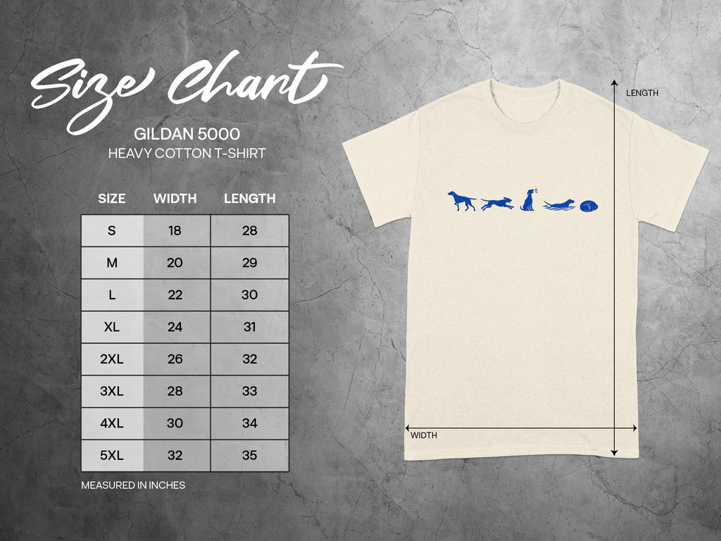 Gildan 5000 Heavy Cotton T-Shirt size chart with width and length measurements in inches.