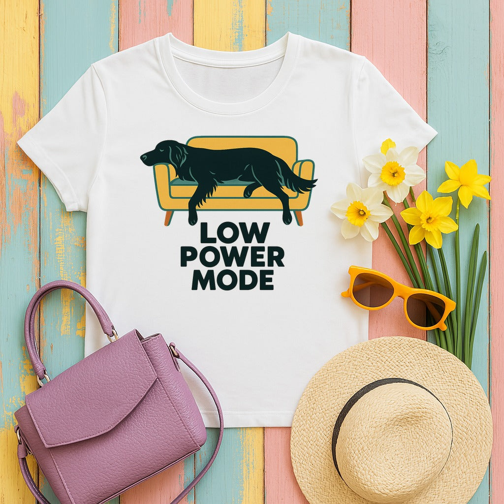 Flat-Coat Low Power Mode Tee in White