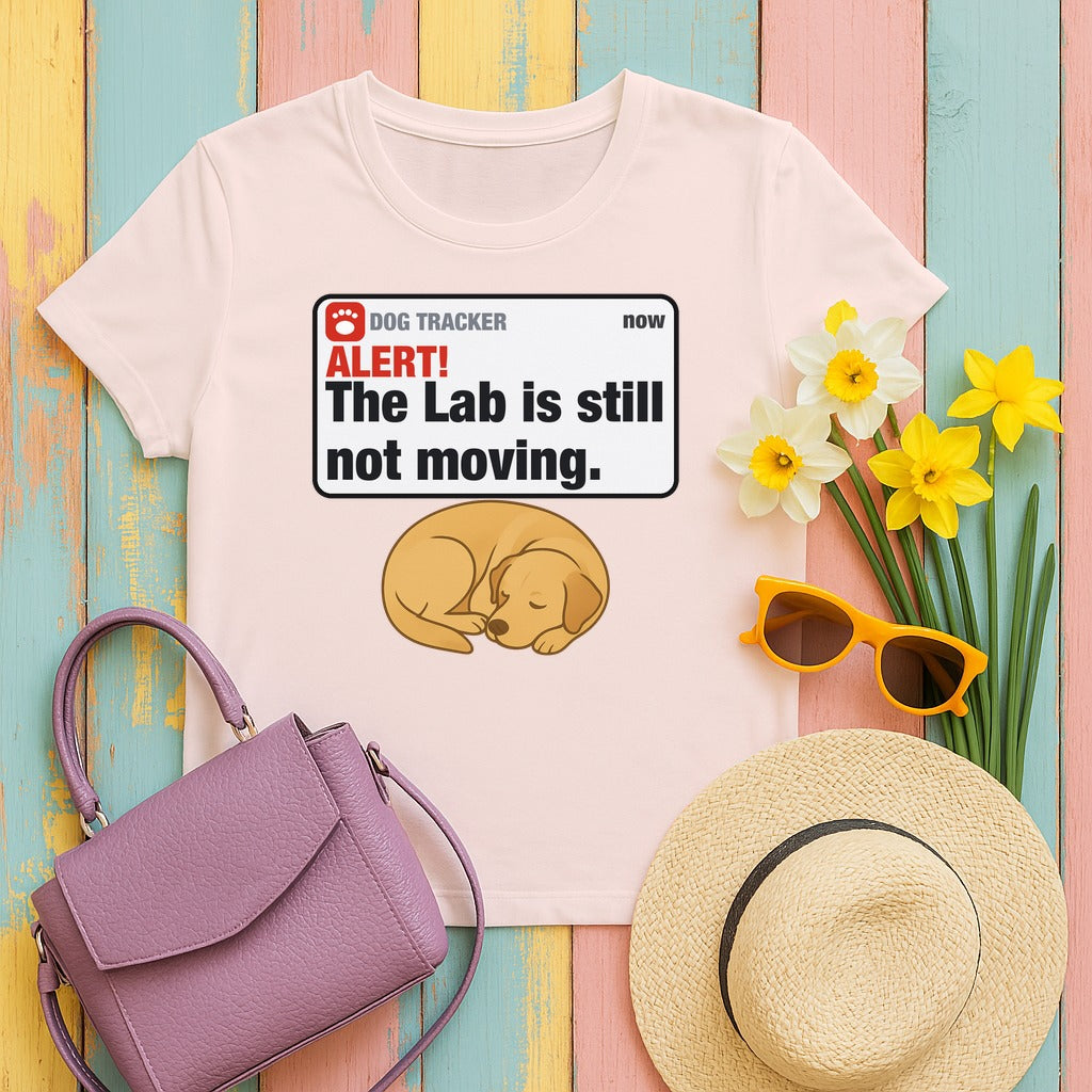 Lab Alert Still Not Moving Tee in Soft Pink