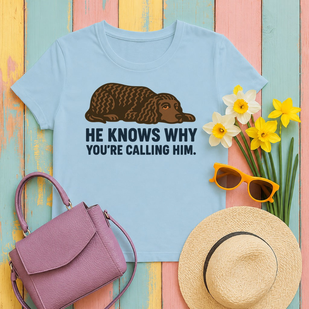 American Water Spaniel He Knows Why You're Calling Him Tee in Light Blue
