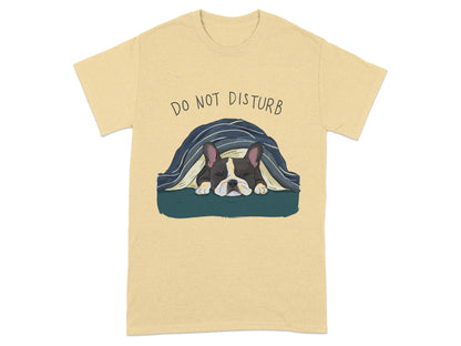 Do Not Disturb Sleeping Dog Graphic T-Shirt product type