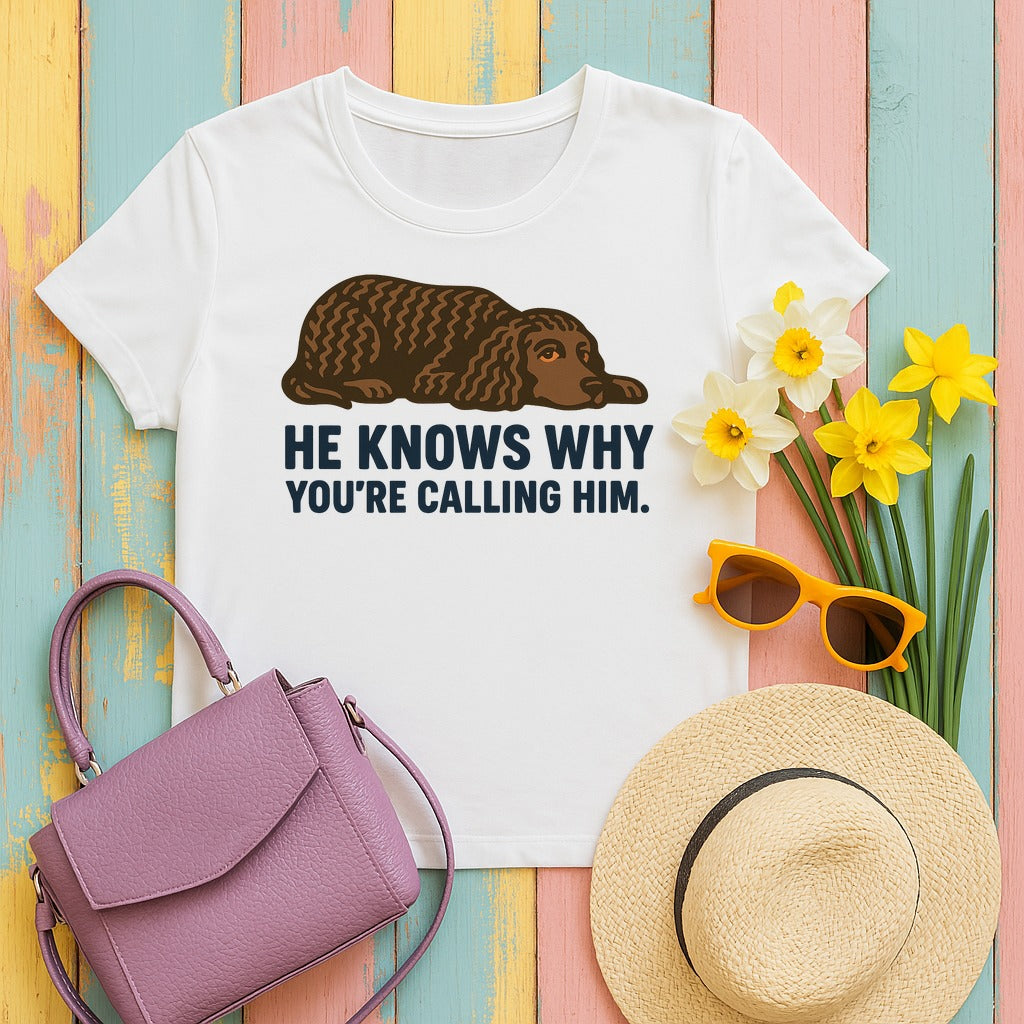 American Water Spaniel He Knows Why You're Calling Him Tee in White