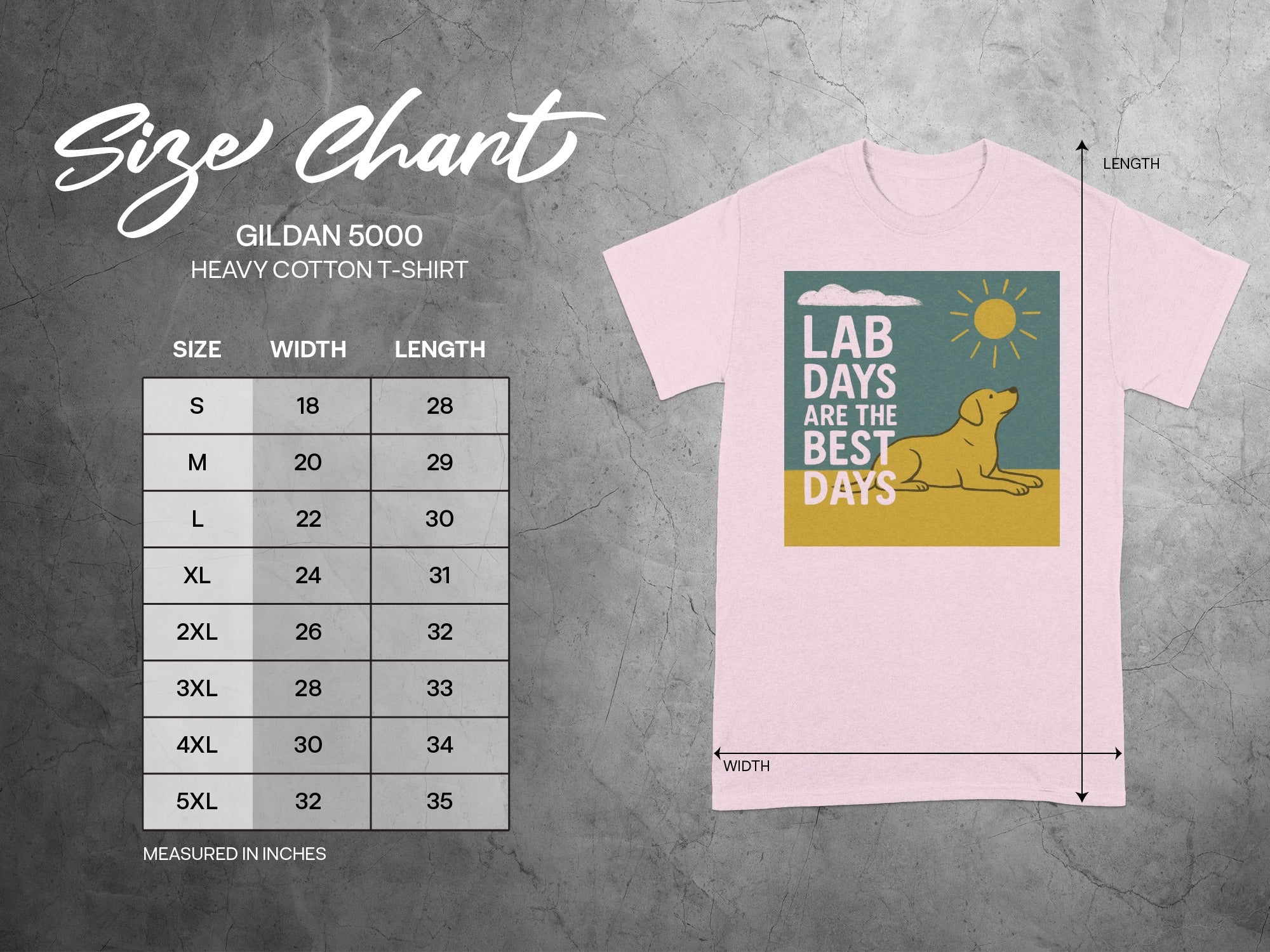 Gildan 5000 Heavy Cotton T-Shirt size chart with measurements in inches.