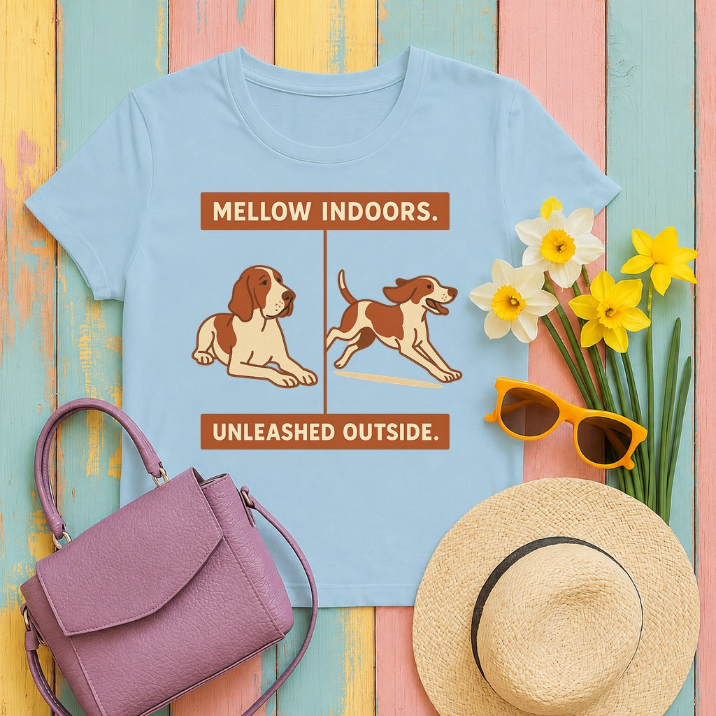 Bracco Italiano Mellow Indoors Tee in Light Blue