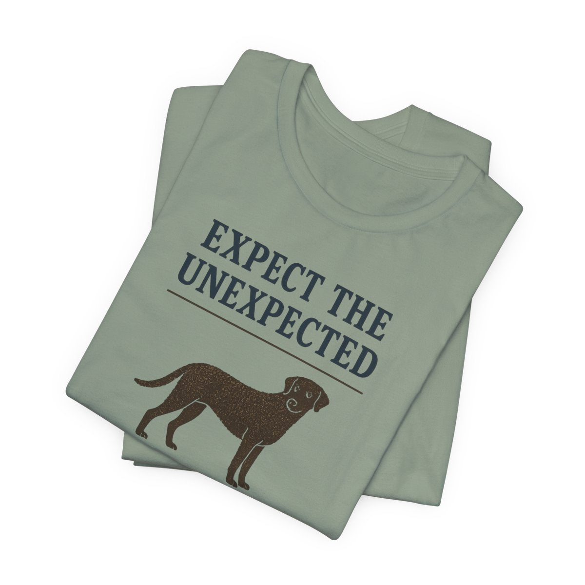 Curly-Coated Retriever Expect The Unexpected t-shirt, view 6