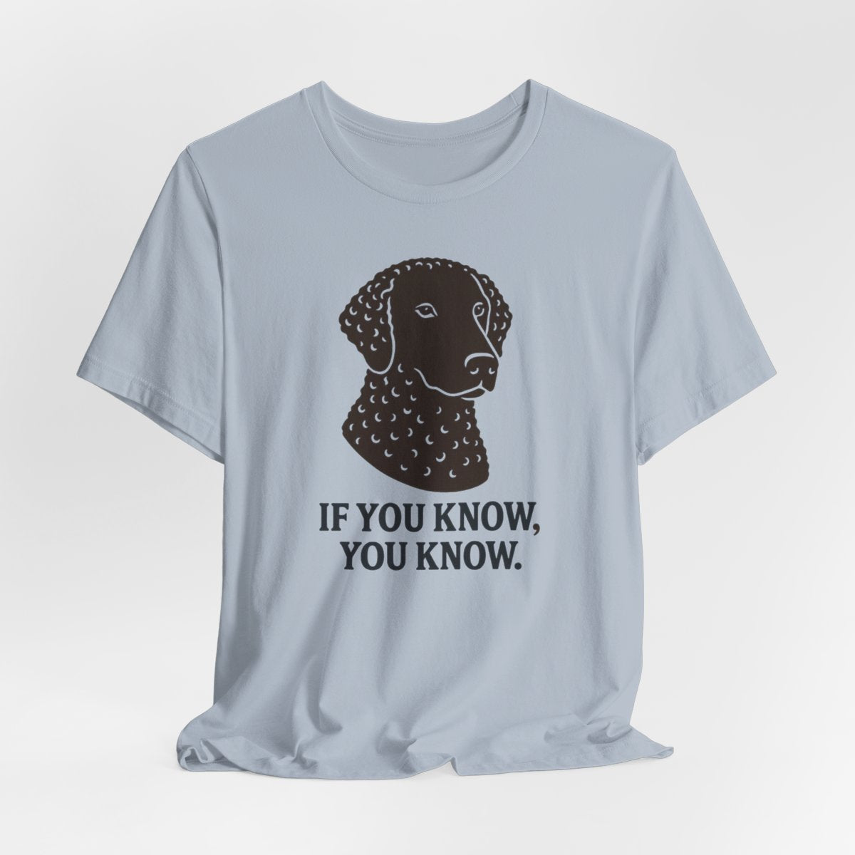 Curly-Coated Retriever If You Know You Know t-shirt, view 2