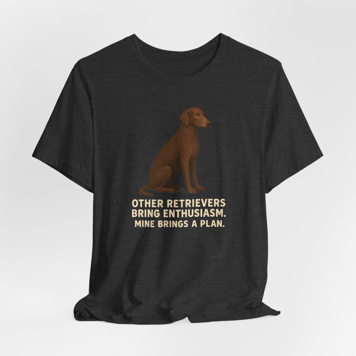 Curly-Coated Retriever Mine Brings A Plan t-shirt, view 6
