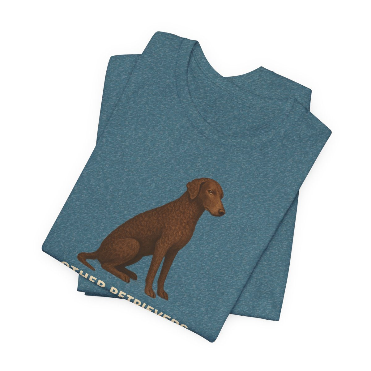 Curly-Coated Retriever Mine Brings A Plan t-shirt, view 5
