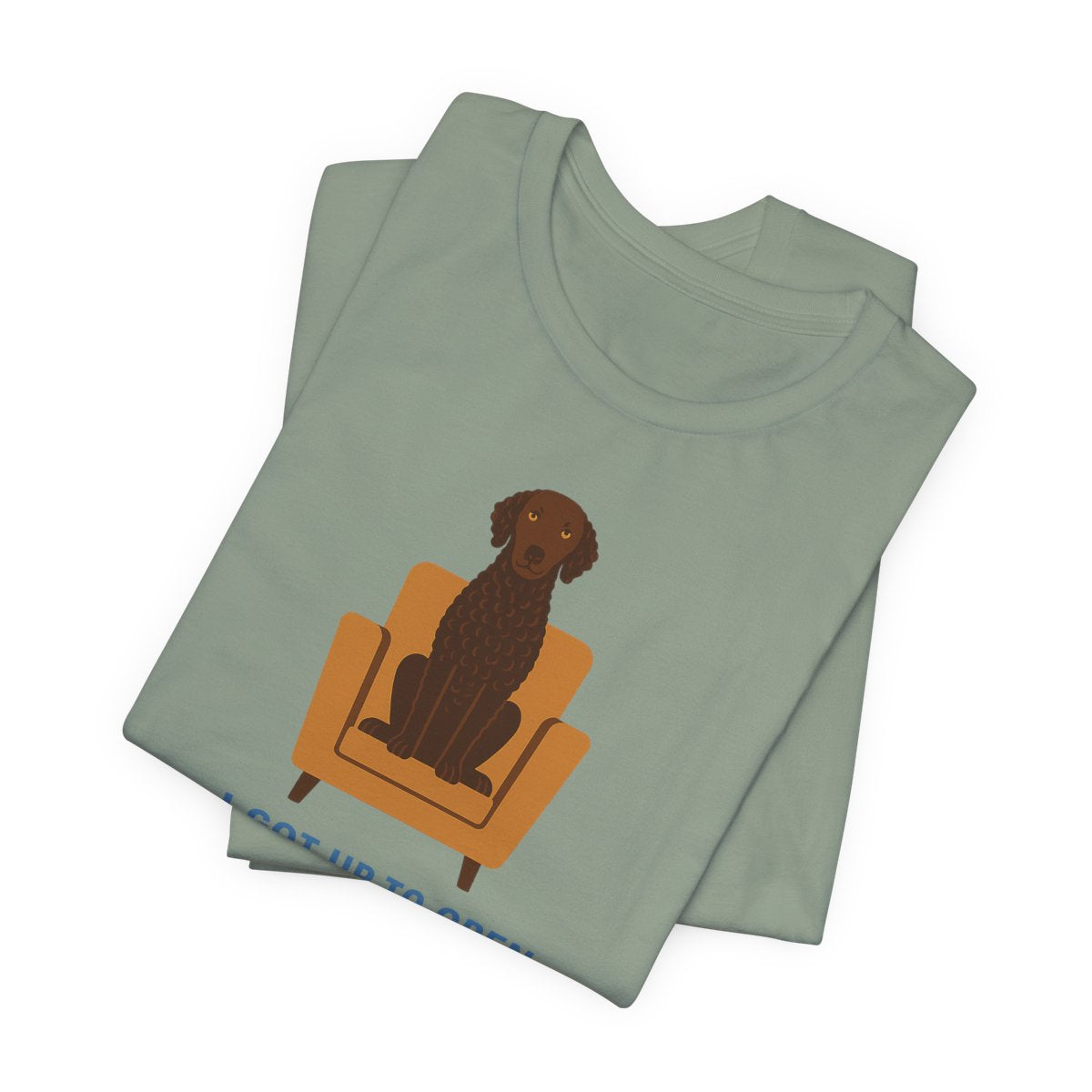 Curly-Coated Retriever My Dog Took The Chair t-shirt, view 6