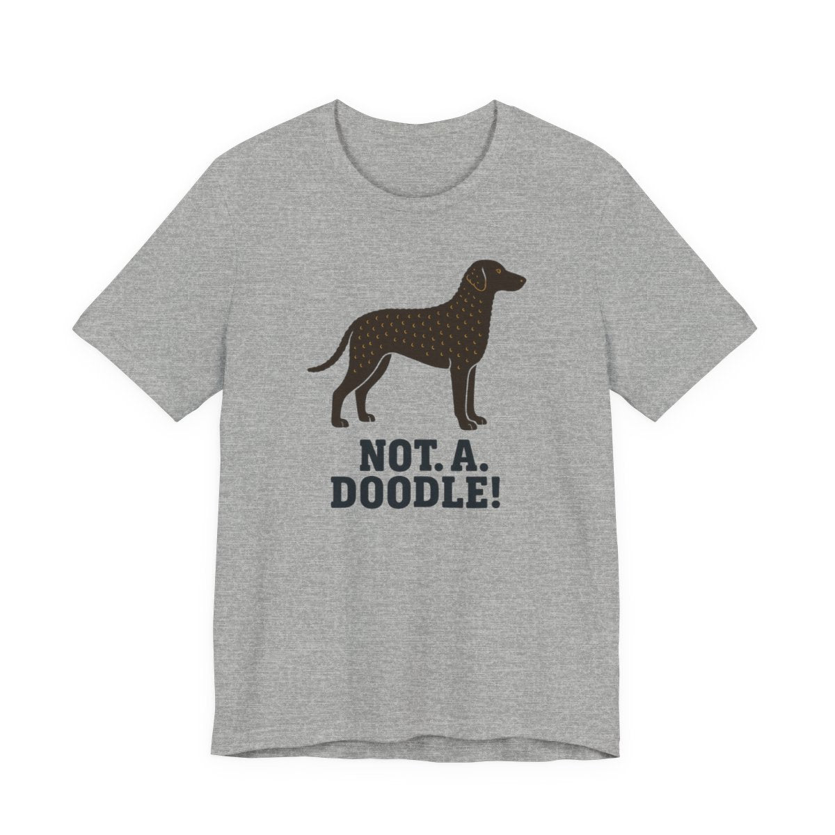 Curly-Coated Retriever Not A Doodle t-shirt, view 5