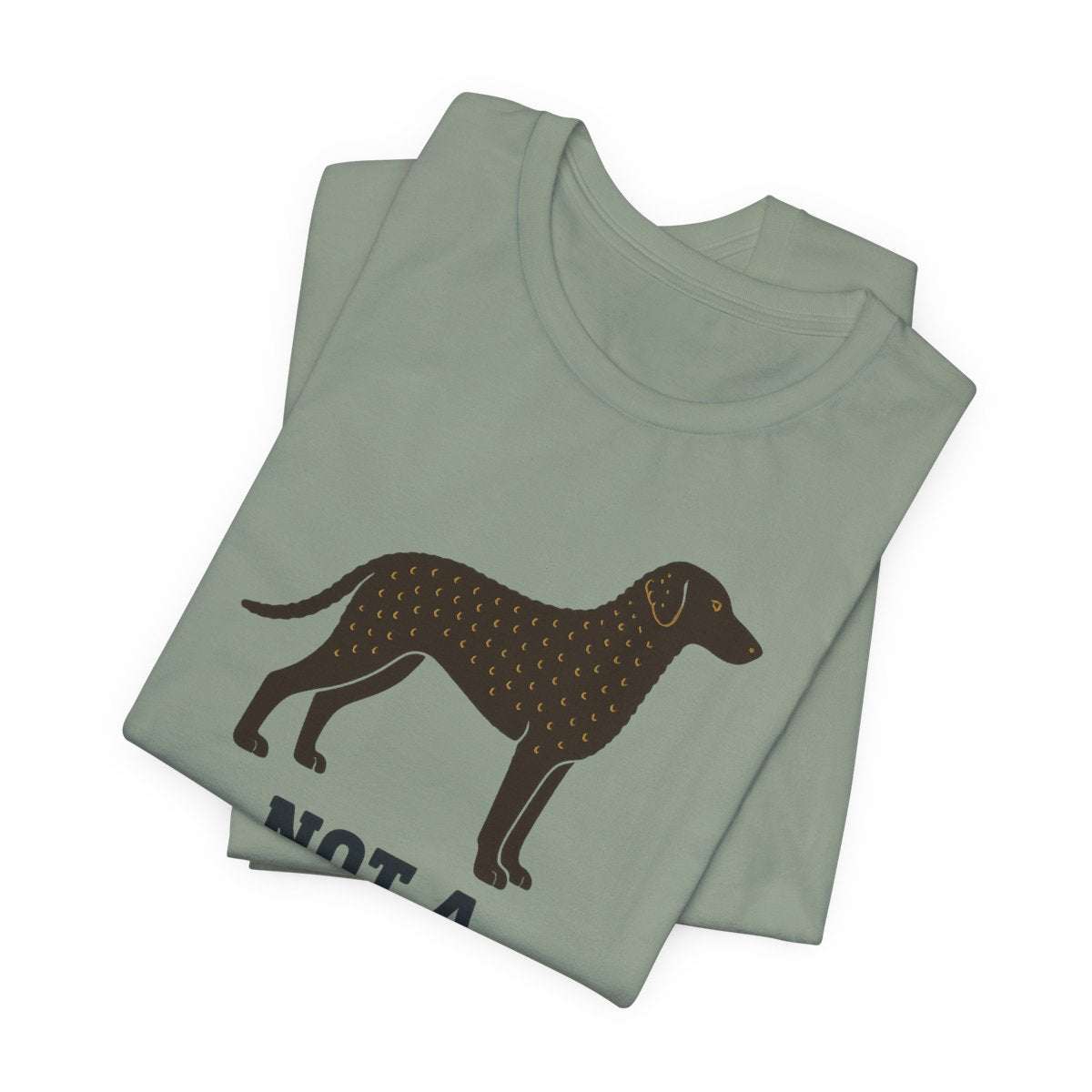 Curly-Coated Retriever Not A Doodle t-shirt, view 2