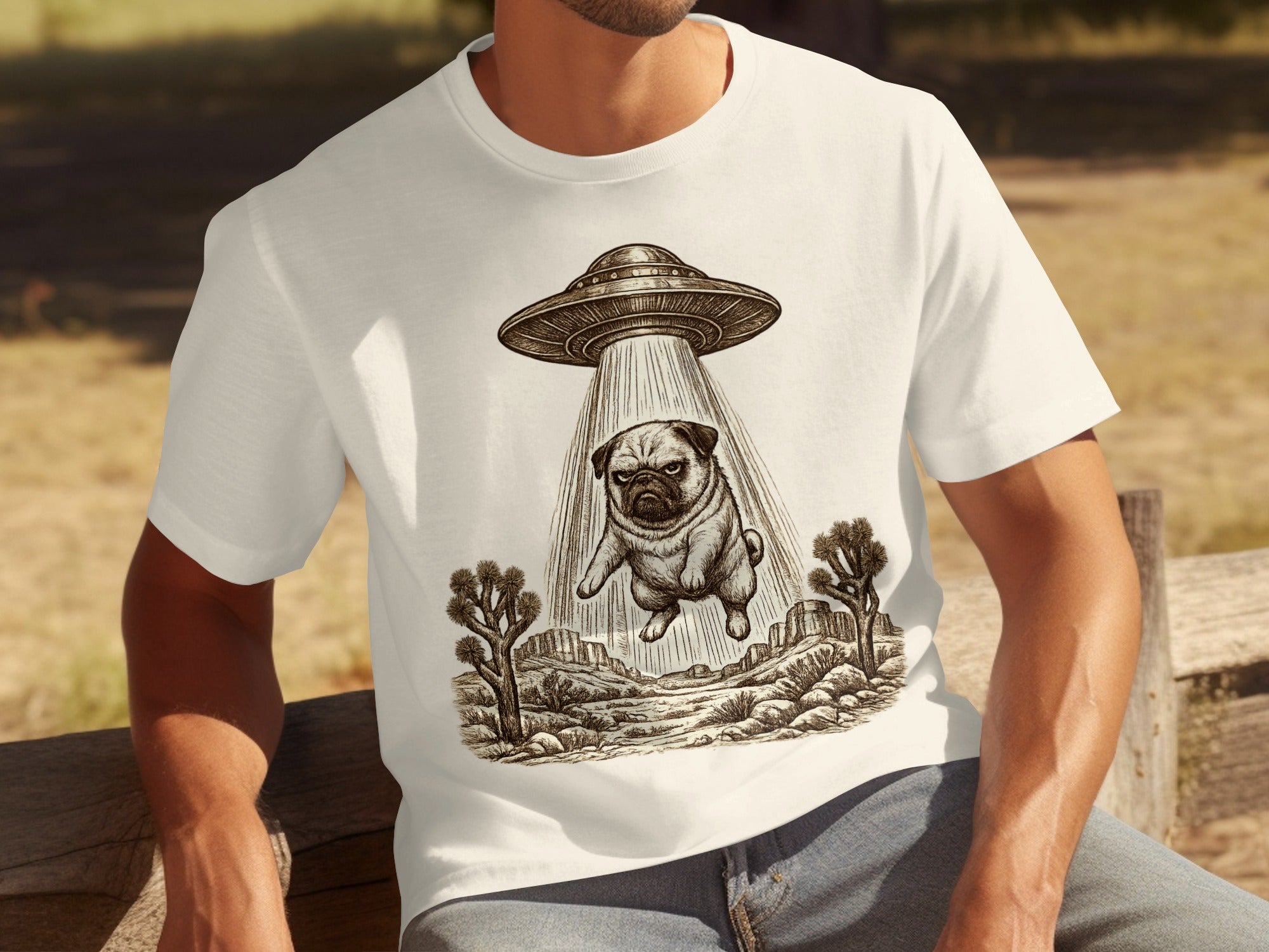 Sketch of a pug being abducted by a UFO in a desert landscape.