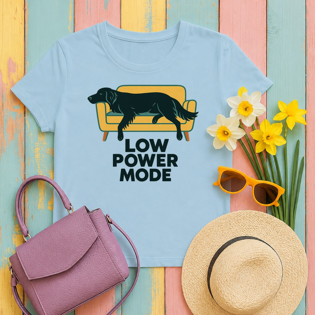 Flat-Coat Low Power Mode Tee in Light Blue