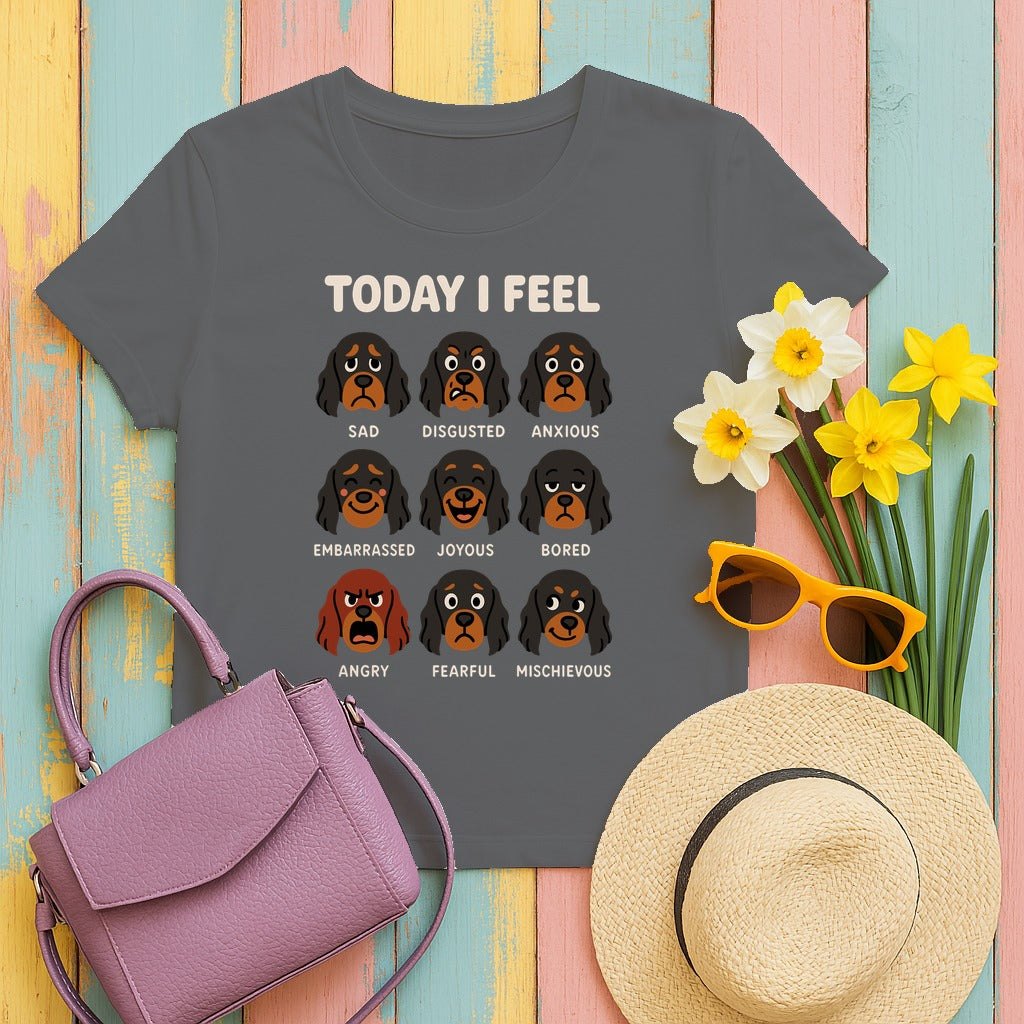 Today I Feel Various Gordon Setter Emotions T-Shirt in Graphite Heather