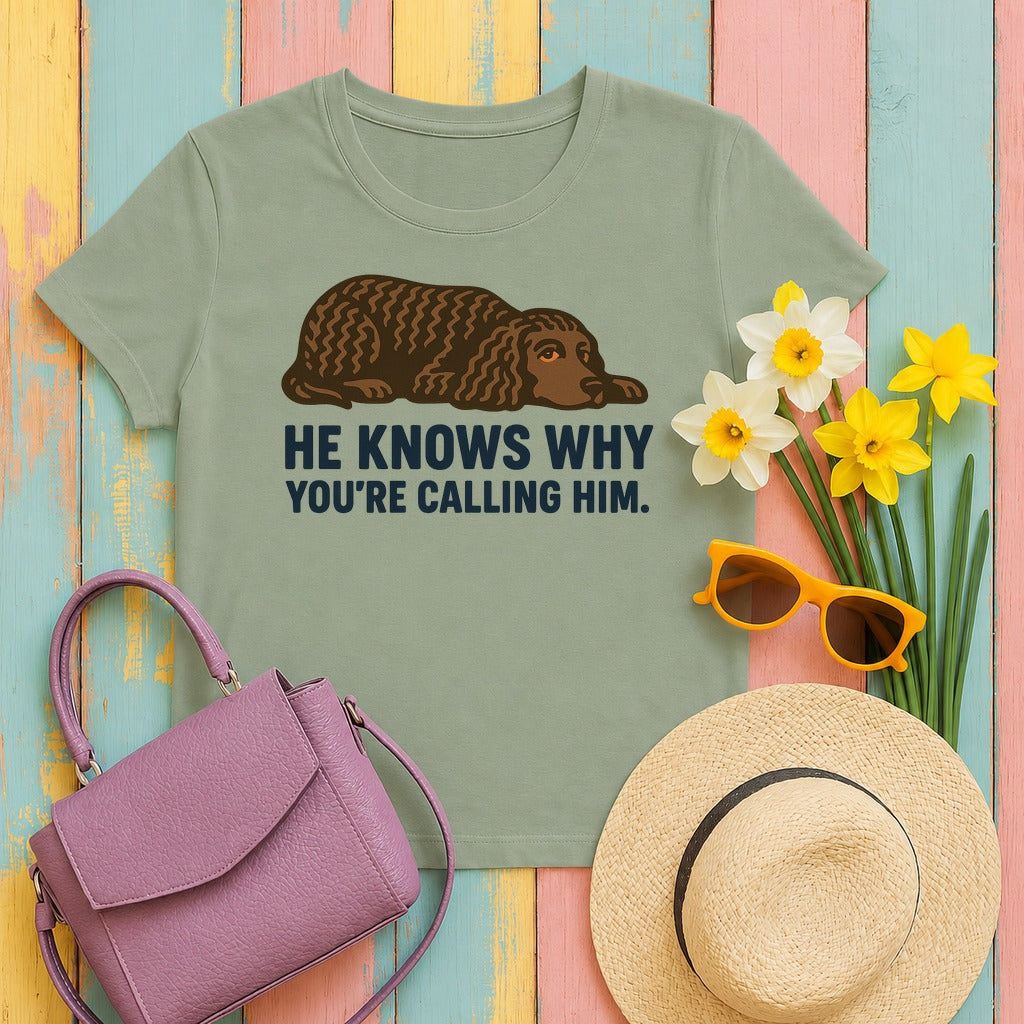 American Water Spaniel He Knows Why You're Calling Him Tee in Sage