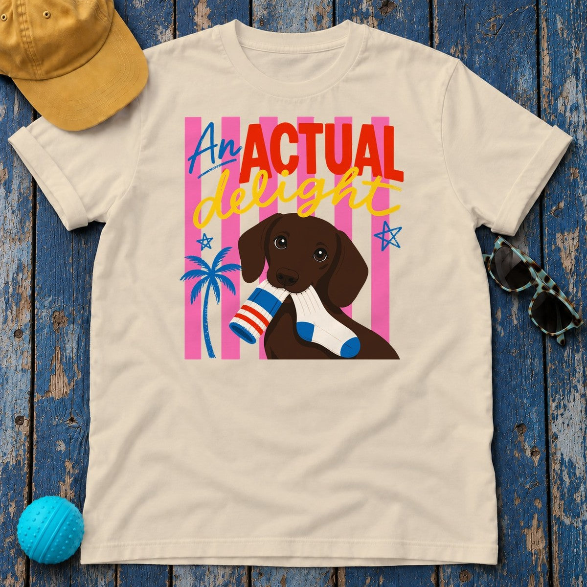 Actual Delight Dachshund & Socks T-Shirt in Sand