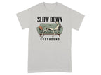 Greyhound dog lounging on a sofa, text reads "SLOW DOWN GREYHOUND".