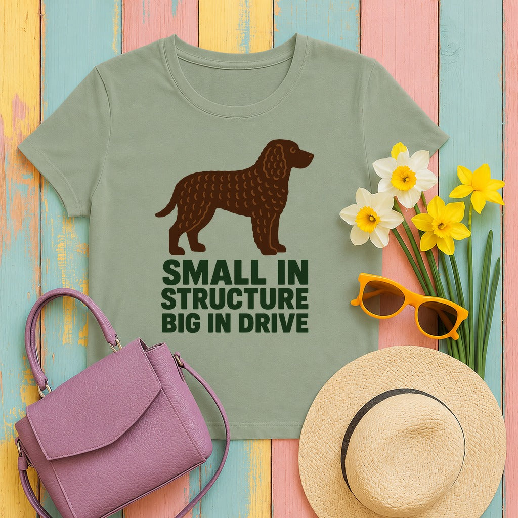 American Water Spaniel Small In Structure Big In Drive Tee in Sage