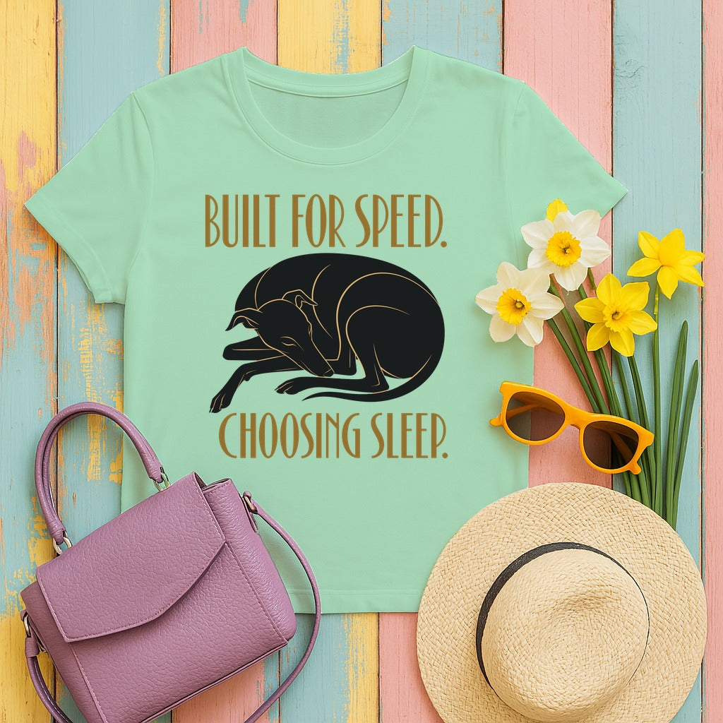 Built for Sleep Greyhound T-Shirt in Mint Green