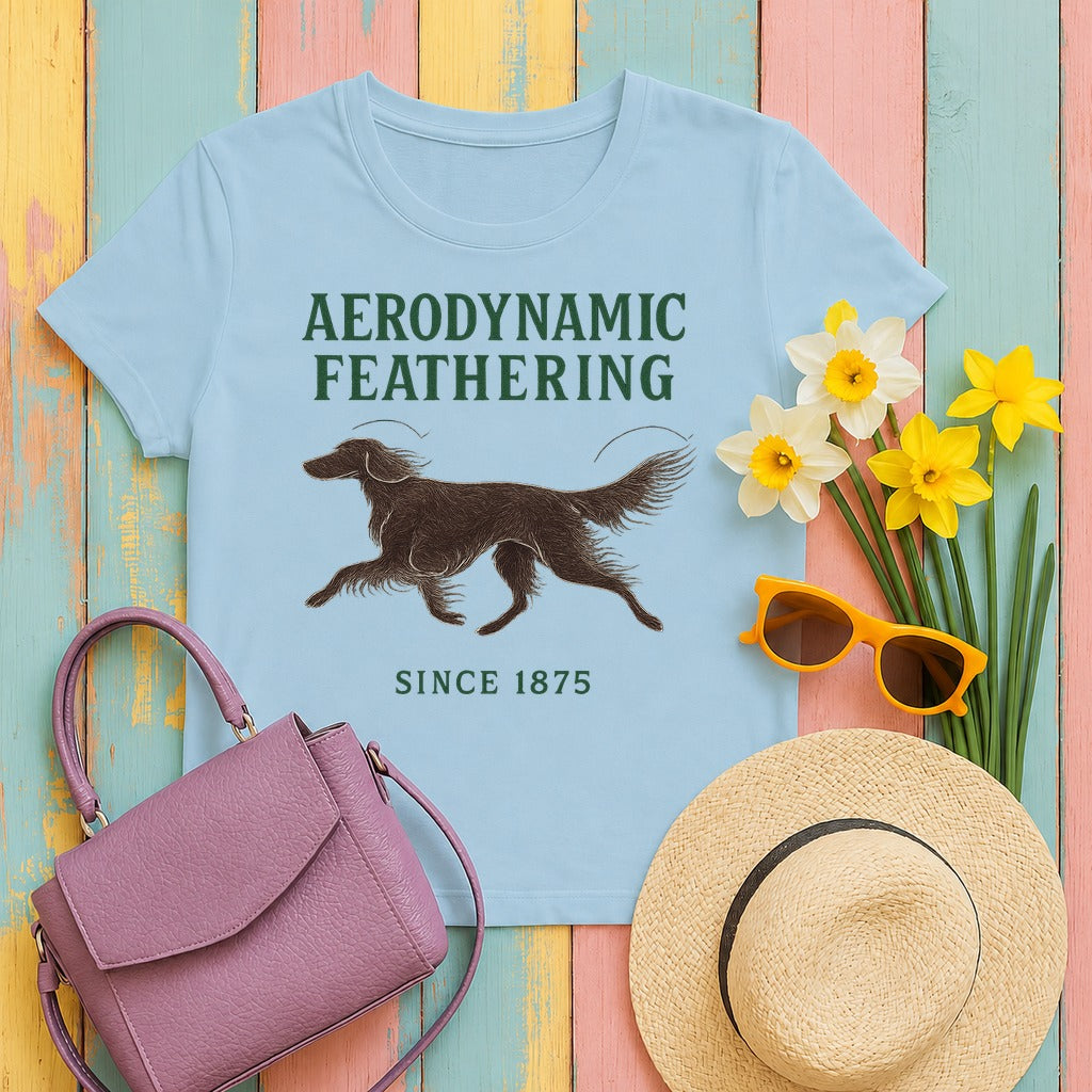 Irish Setter Aerodynamic Feathering T-shirt in Light Blue