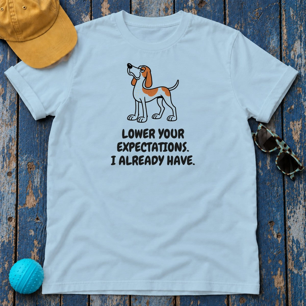 Bracco Italiano Lower Your Expectations Tee in Light Blue