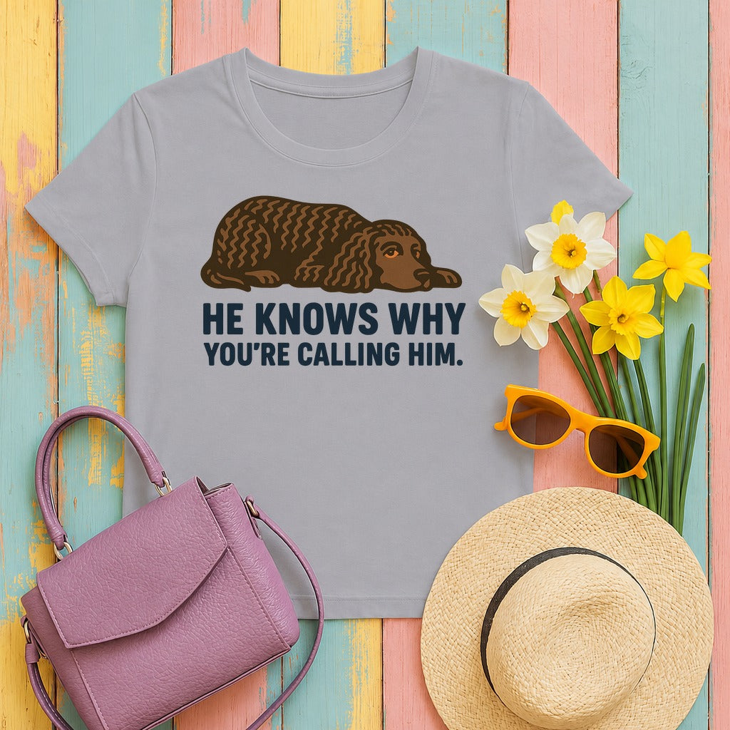 American Water Spaniel He Knows Why You're Calling Him Tee in Athletic Heather