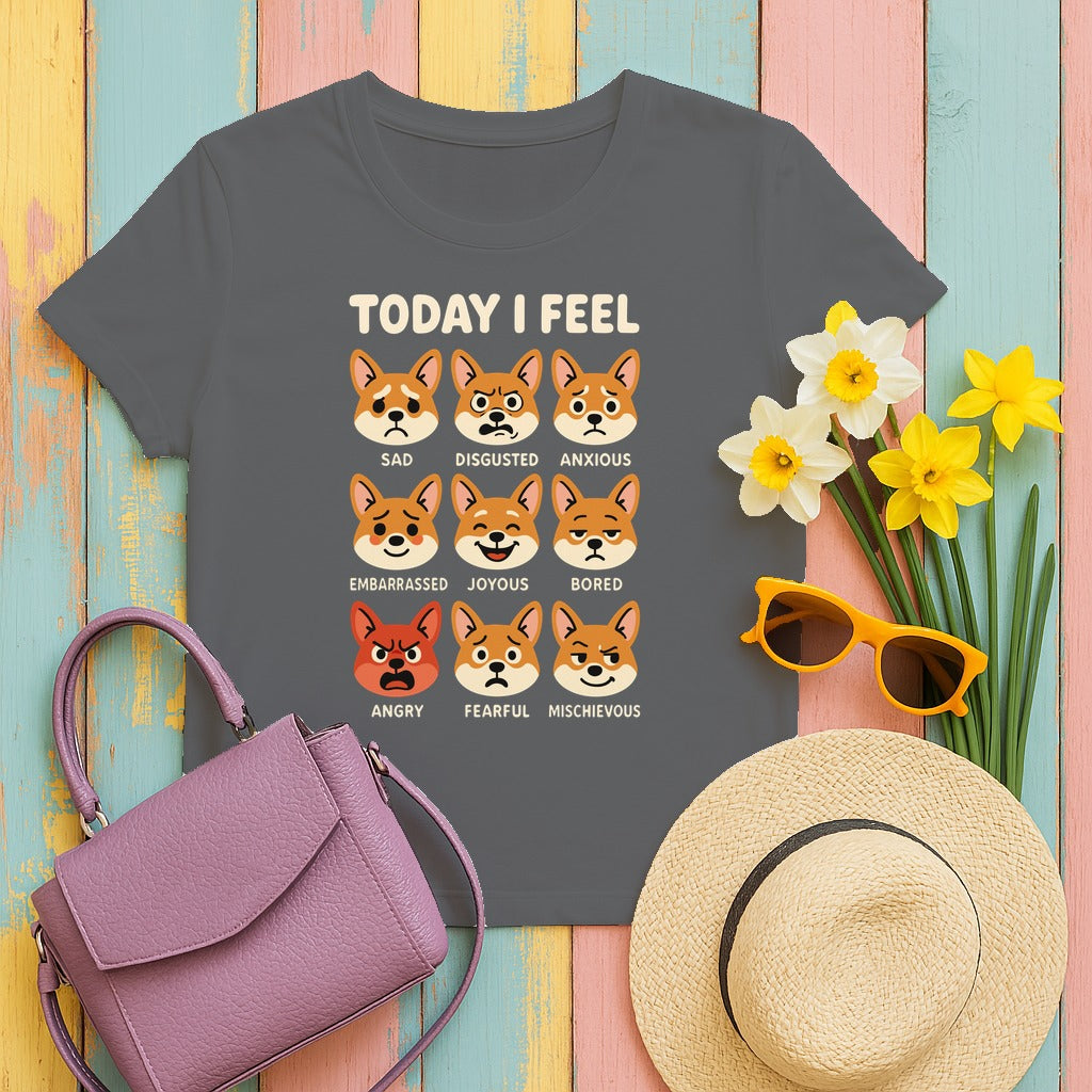 Today I Feel Corgi Moods T-Shirt in Graphite Heather