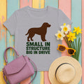 American Water Spaniel Small In Structure Big In Drive Tee in Athletic Heather