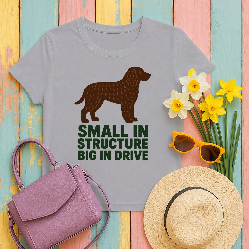 American Water Spaniel Small In Structure Big In Drive Tee in Athletic Heather