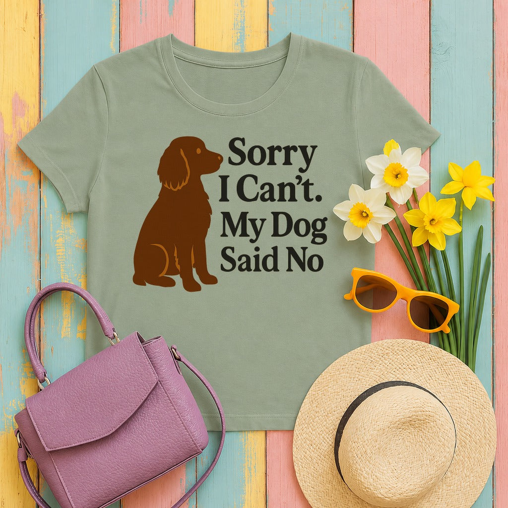 Boykin Spaniel Dog Said No T-shirt in Sage