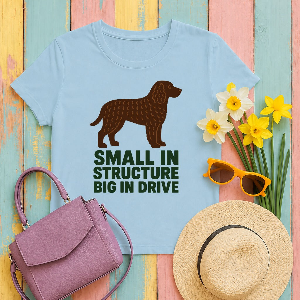 American Water Spaniel Small In Structure Big In Drive Tee in Light Blue