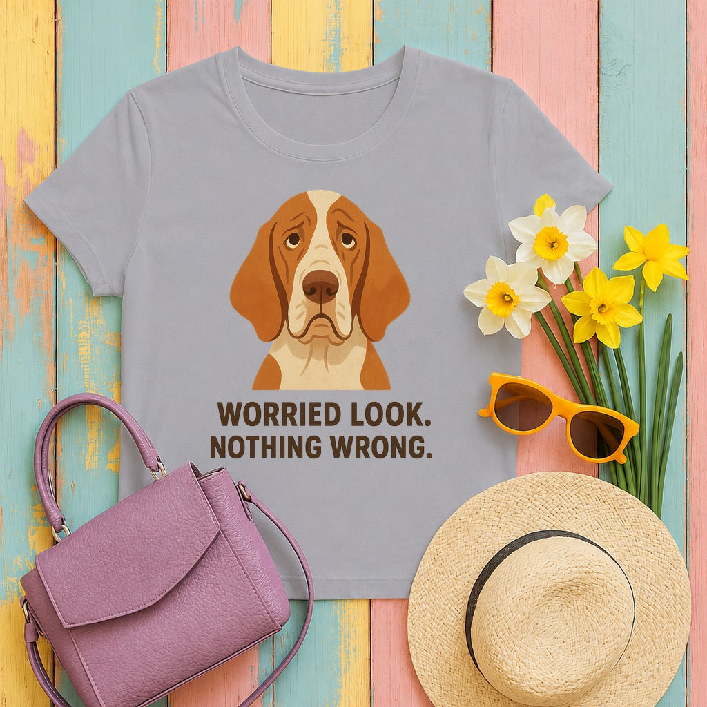 Bracco Italiano Worried Look Tee in Athletic Heather
