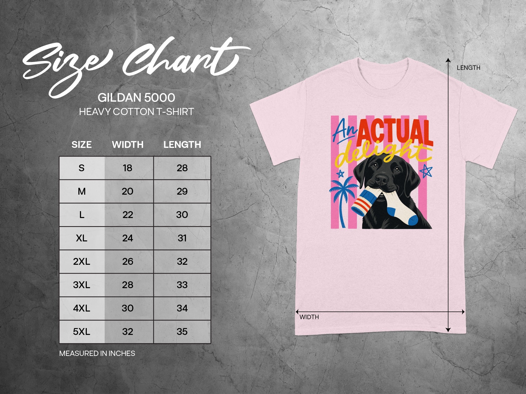 Gildan 5000 t-shirt size chart with a dog wearing socks on the graphic.