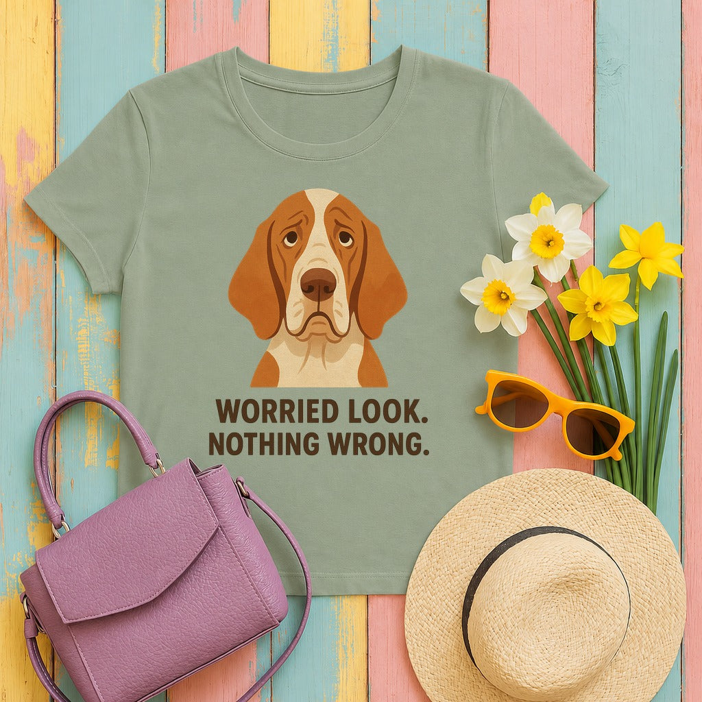 Bracco Italiano Worried Look Tee in Sage