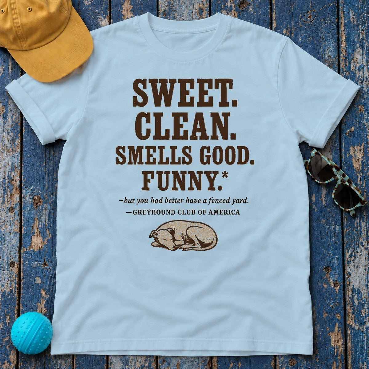 Greyhound Sweet Clean Smells Good Funny Tee in Light Blue