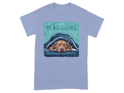 Do Not Disturb Sleeping Dog Graphic T-Shirt product