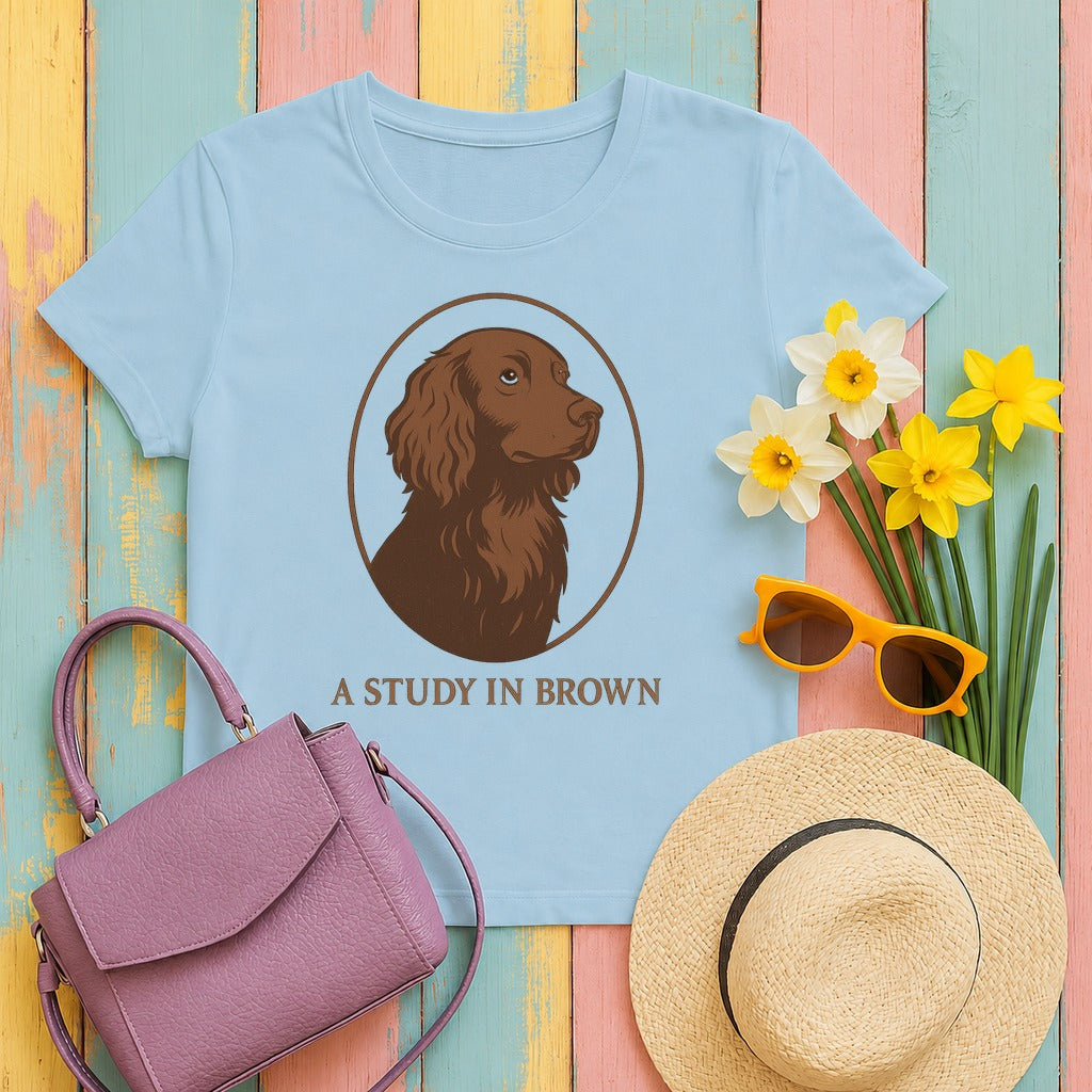 Boykin Spaniel A Study in Brown T-shirt in Light Blue