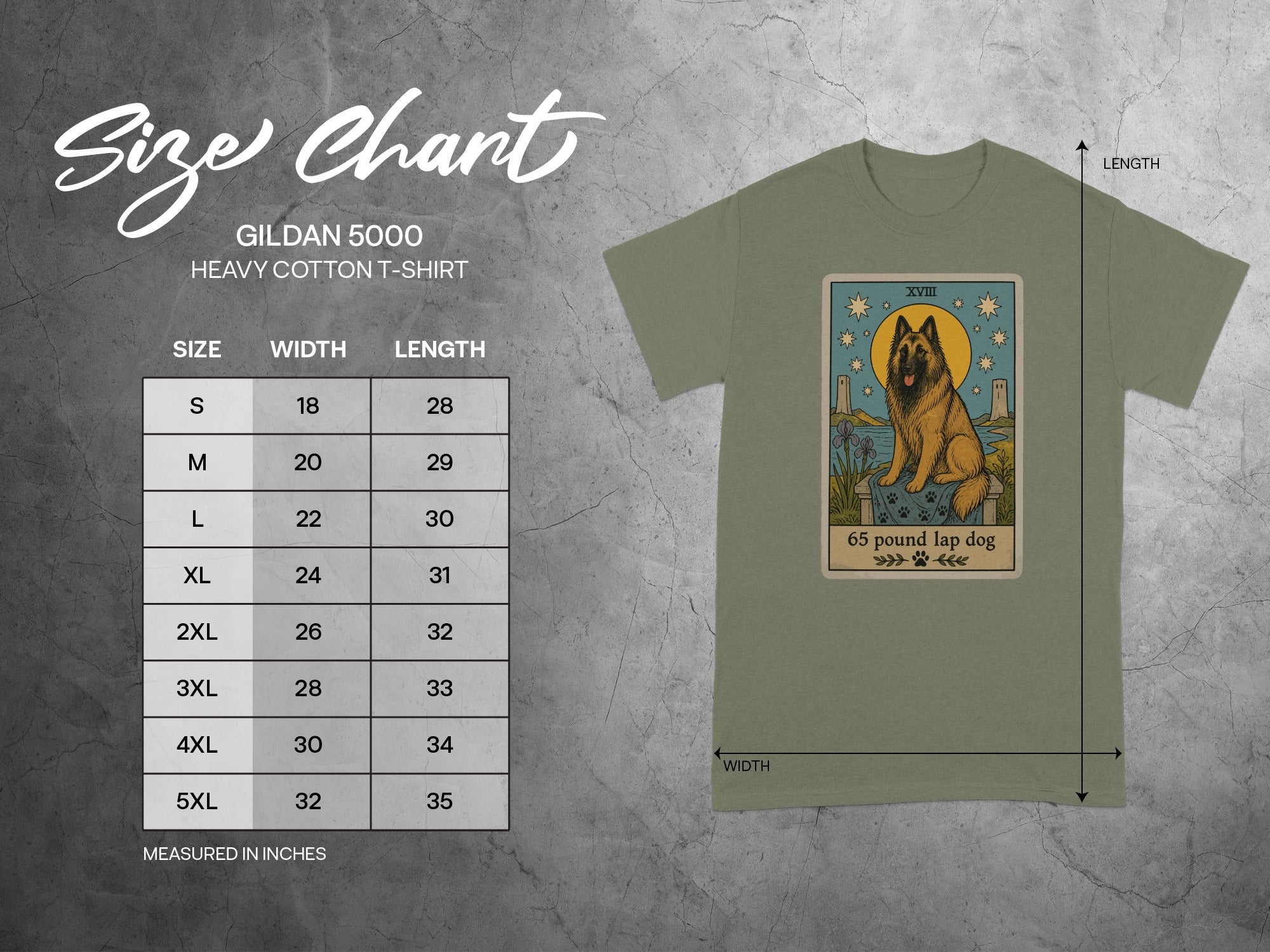 Gildan 5000 T-shirt size chart with measurements and a tarot card featuring a dog.