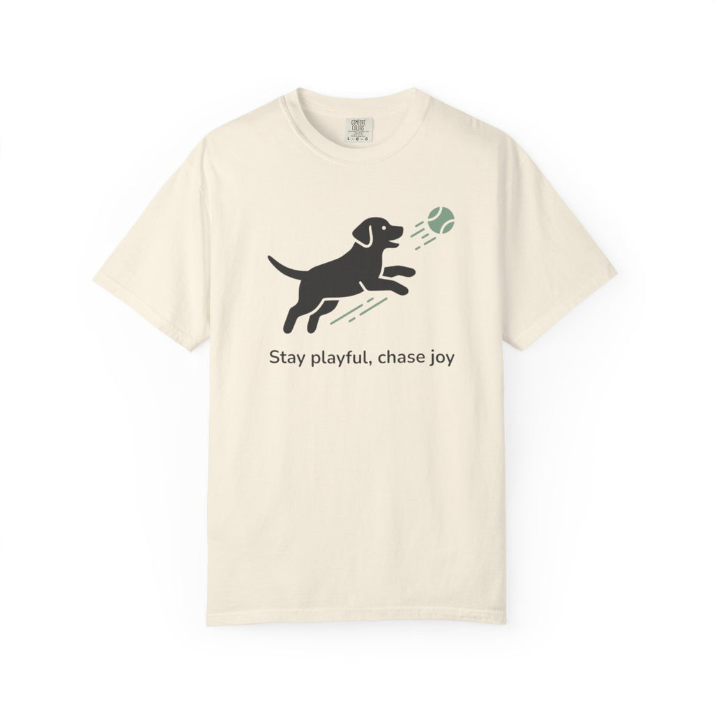 Stay playful chase joy motivational dog t-shirt