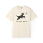 Stay playful chase joy motivational dog t-shirt